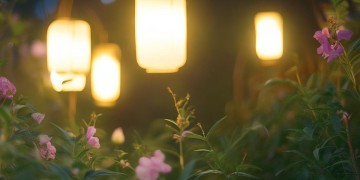 红尘从此没有他究竟是哪首歌？