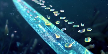 深海利剑中有哪些令人难忘的歌曲？