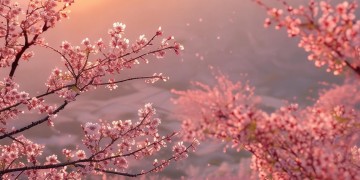 橘右京配音的歌曲哪首最好听？