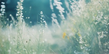 相差80岁的相遇究竟是什么歌？