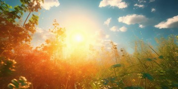 盛夏高潮歌词出自哪首歌？