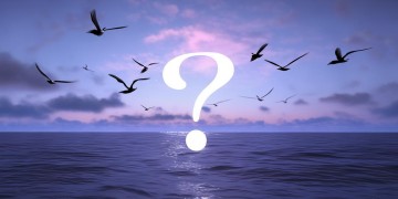 我在大海里飞翔究竟是哪首歌？