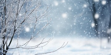 雪花依然放不下出自哪首歌？