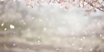 不能陪你颠沛流离出自哪首歌？