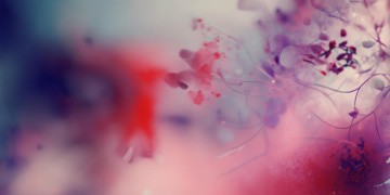 你是我的我爱你究竟是什么歌？
