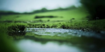 一晃就老了 知足究竟是什么歌？