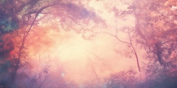 那奴木杰木到底是什么歌？