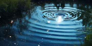 你搅散一池星光出自哪首歌？