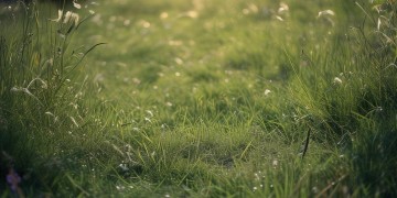 留下了你的足迹出自哪首歌？