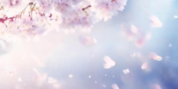 因为有你我很温柔究竟是哪首歌？