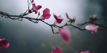 失去最爱的痛究竟是哪首歌？