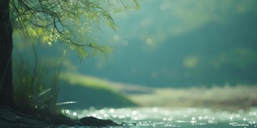 却为何难舍难分出自哪首歌？