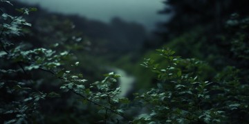 此时的风有点凉究竟是哪首歌？