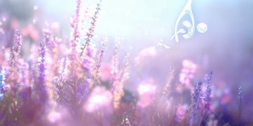 阿里给给到底出自哪首歌？