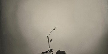 只有悲伤给我安慰出自哪首歌？