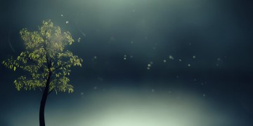 不知为何瞬间落寞究竟是哪首歌？