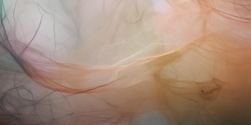 我们本来没有究竟是哪首歌？