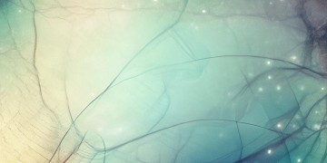 李玉刚最新推出了什么歌？