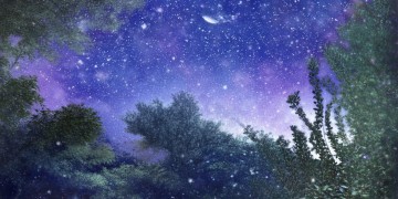 晚上陪你看星星究竟是哪首歌？