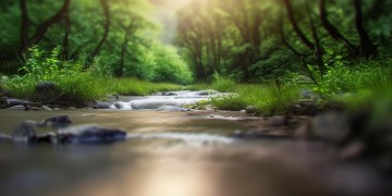 怎样才能放下啊出自哪首歌？