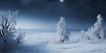 寒冷的夜里出自哪首歌？