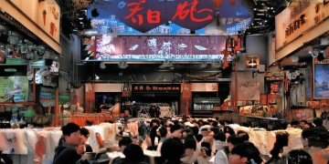 容落歌、寒星澜出现在哪部小说里？