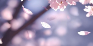 愿你能平安就好出自哪首歌？