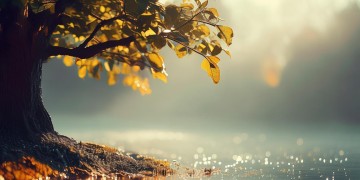 只他红尘不可求究竟出自哪首歌？