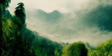 心中的山与树究竟是哪首歌？