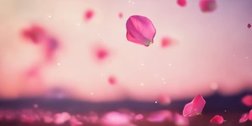 心痛几秒钟又好了究竟是哪首歌？