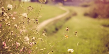 晴天也要见到你出自哪首歌？