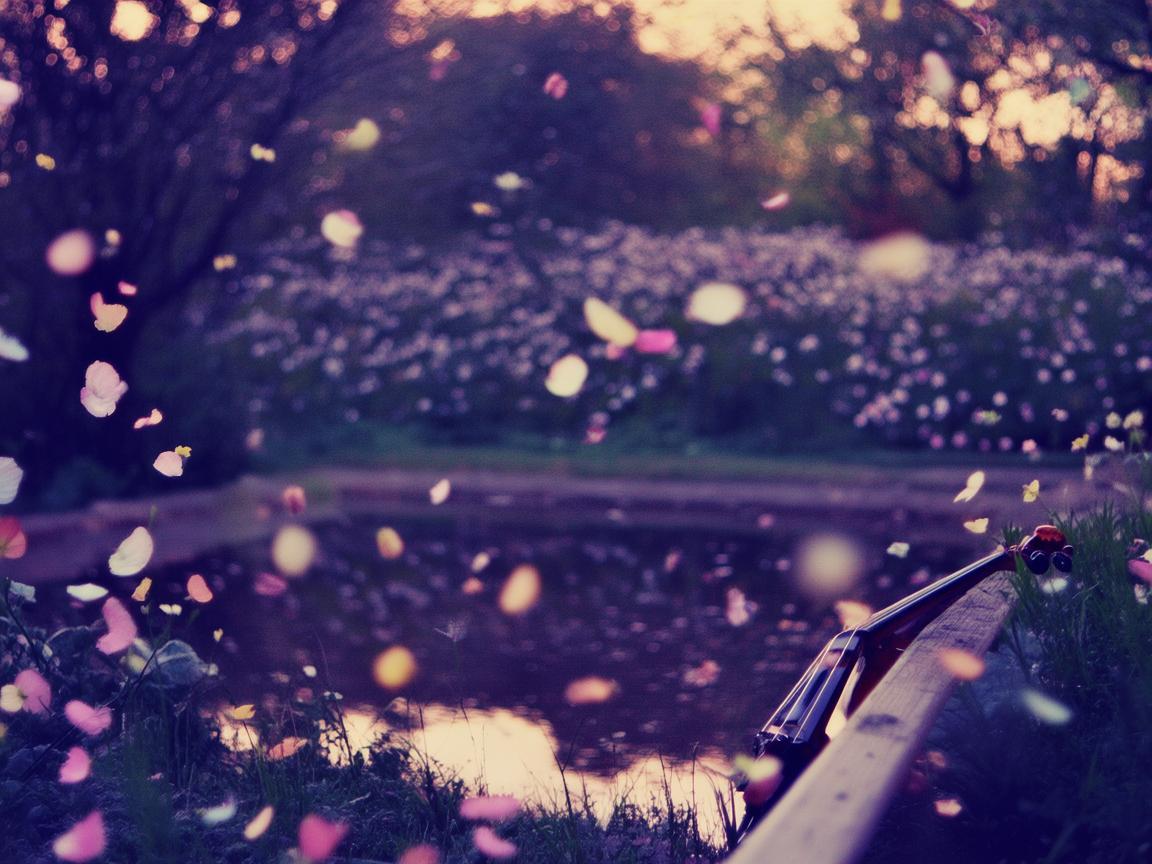 亲爱的姑娘是哪首歌? 亲爱的姑娘是哪首歌?