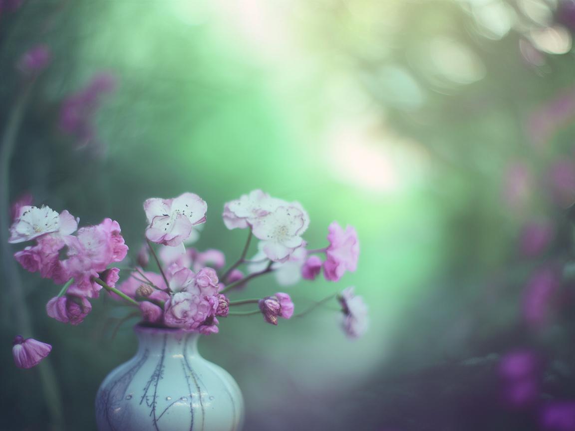 嗯哪嗯哪到底是哪首歌? 嗯哪嗯哪到底是哪首歌?