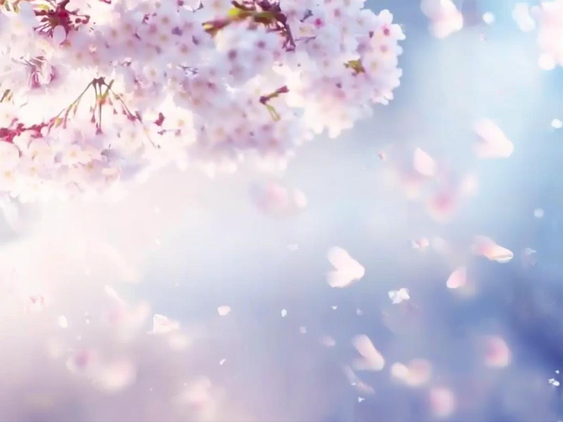 因为有你我很温柔究竟是哪首歌？