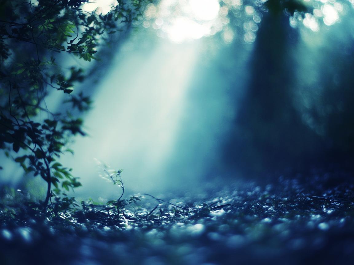 若隐若现的光景出自哪首歌？