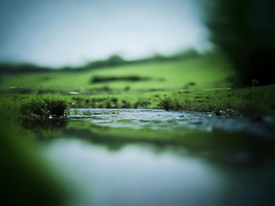 一晃就老了 知足究竟是什么歌？