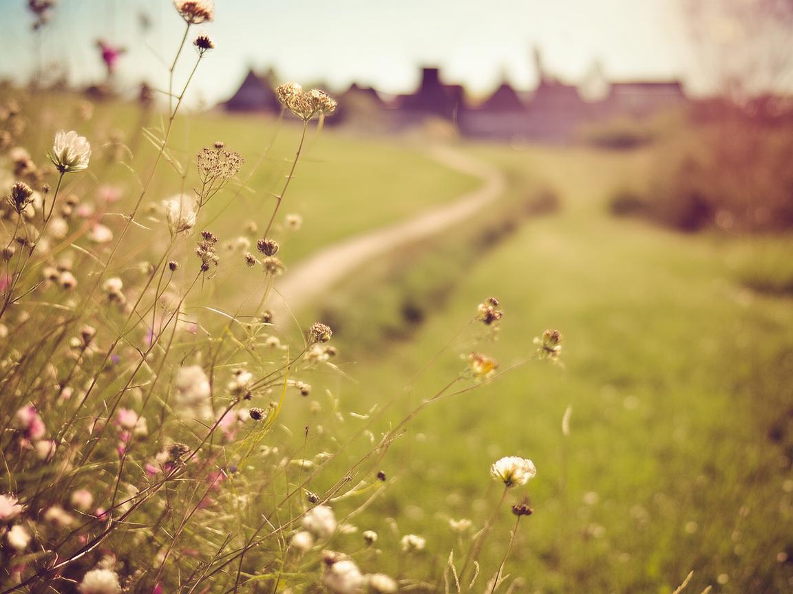 晴天也要见到你出自哪首歌？
